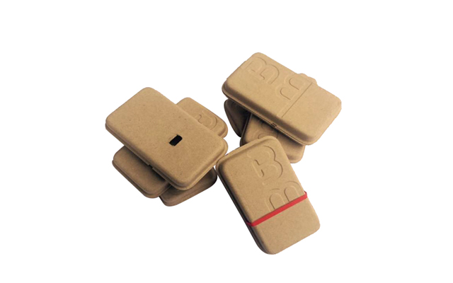 Customized paper pulp packaging.jpg