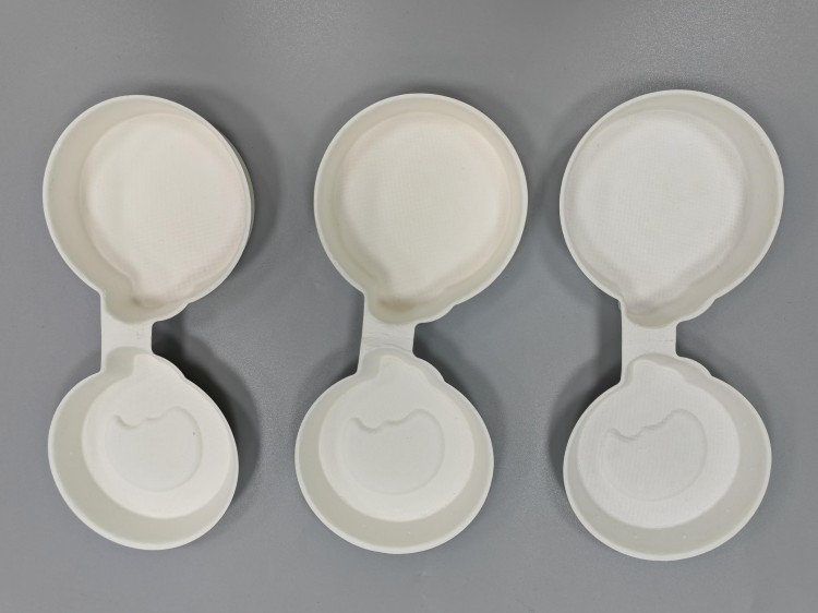 sugarcane paper pulp box suppliers.jpg