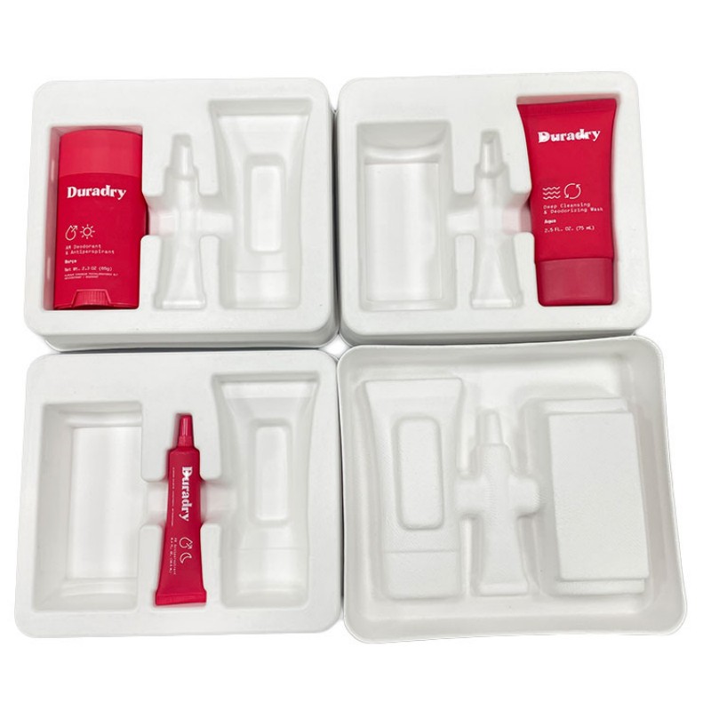 sugarcane paper pulp trays.jpg