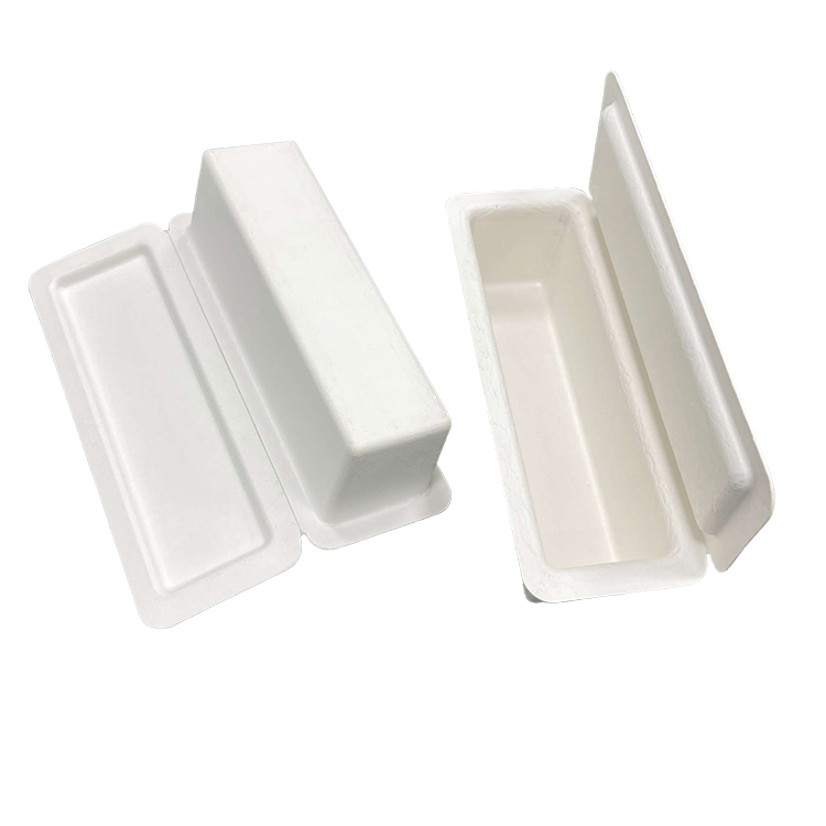 pulp packaging solutions.jpg
