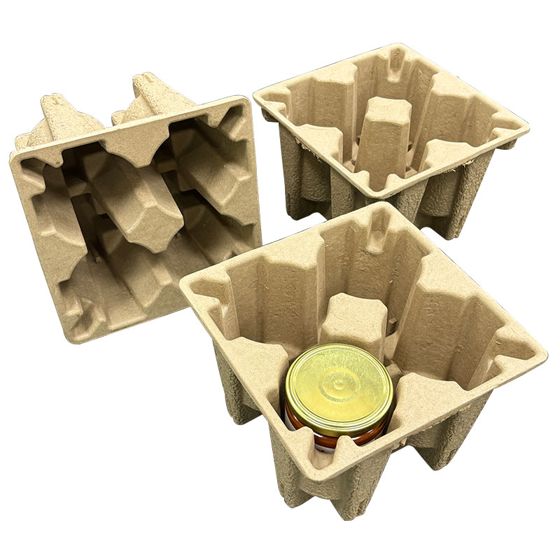 compostable paper trays for food.jpg