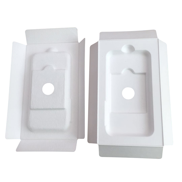 biodegradable electronic tray factory.jpg