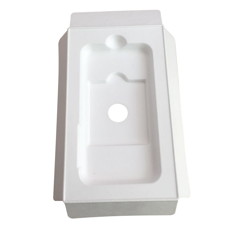 biodegradable electronic tray.jpg