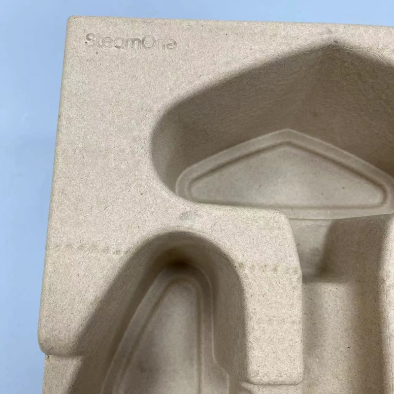 recycled paper pulp packaging.jpg