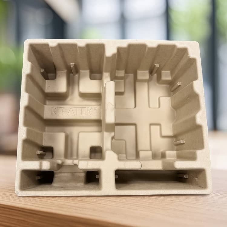 Paper Pulp Packaging.jpg